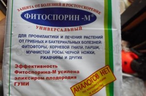 Профилактика болезней и вредителей смородины. %D0%A4%D0%BE%D1%82%D0%BE %E2%84%968 2. Профилактика болезней и вредителей смородины фото. Профилактика болезней и вредителей смородины-%D0%A4%D0%BE%D1%82%D0%BE %E2%84%968 2. картинка Профилактика болезней и вредителей смородины. картинка %D0%A4%D0%BE%D1%82%D0%BE %E2%84%968 2. Практически все дачники выращивают на своем участке различные сорта смородины. Существует мнение, что смородина неприхотлива и не требует особых навыков выращивания и ухода, однако, чтобы урожай вас всегда радовал своим обилием, советуем уделять кустам смородины должное внимание. Сегодня мы подробно расскажем о том, как проводится профилактика заболеваний смородины.
