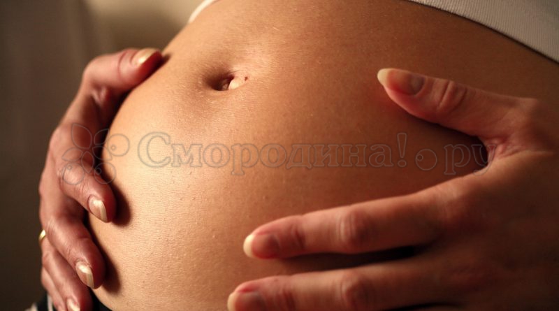 Смородина при беременности
