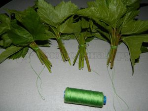 Готовим смородиновые листья к сушке